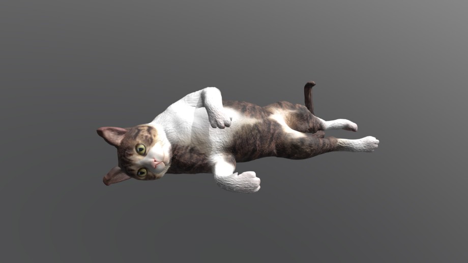 猫の3Dデータの画像